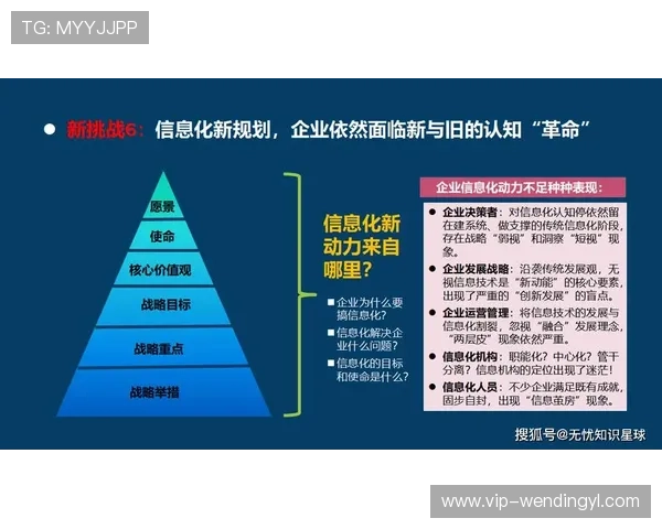 问鼎国际：科技创新引领企业迈向国际舞台的关键策略
