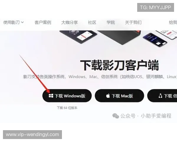 快速找到问鼎平台官网入口并完成下载安装的实用技巧与详细流程解析